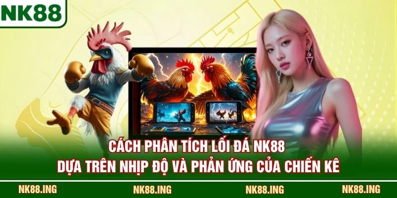Cách phân tích lối đá NK88 dựa trên nhịp độ và phản ứng của chiến kê