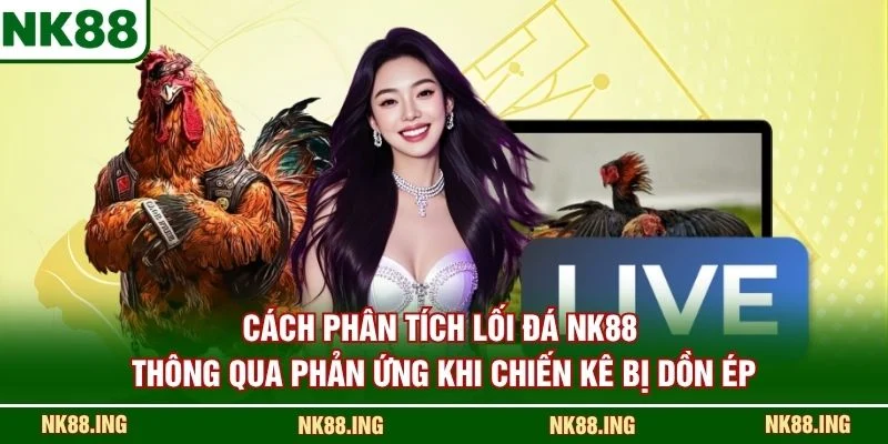 Cách phân tích lối đá NK88 thông qua phản ứng khi chiến kê bị dồn ép